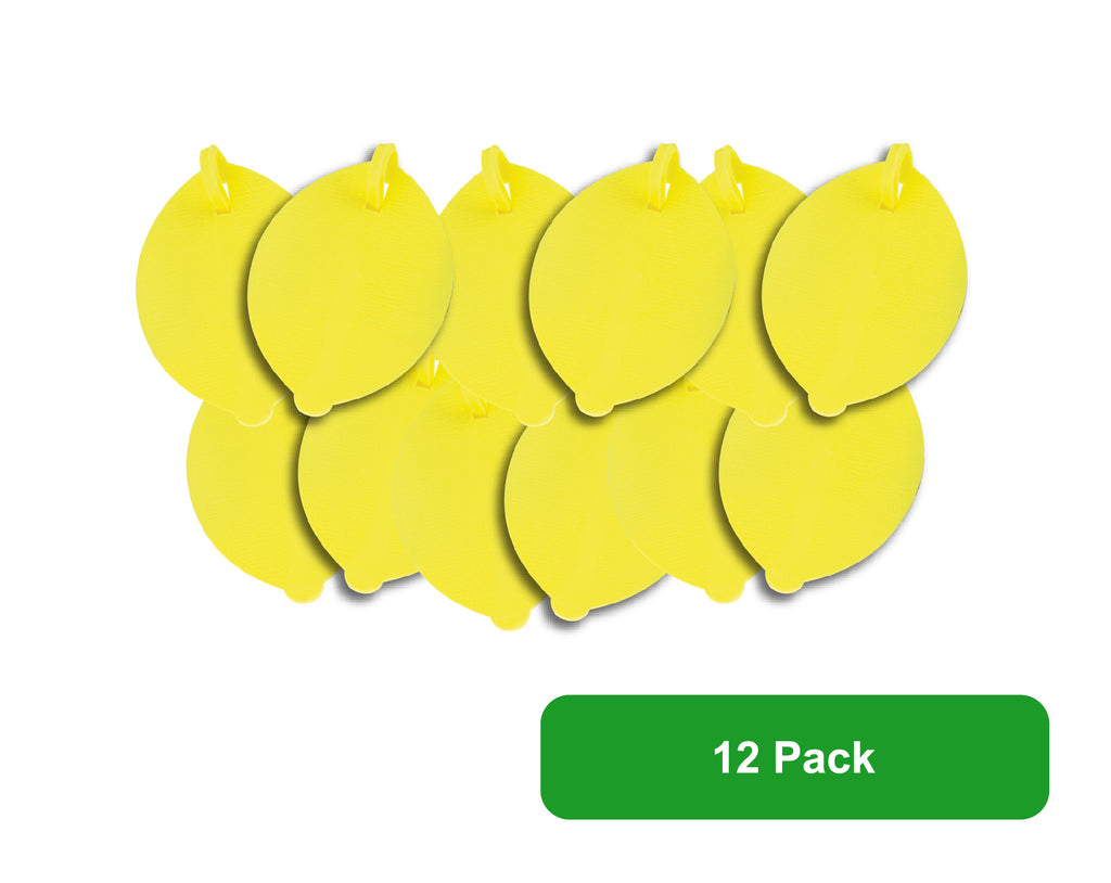 Citrus Rinse (12 Pack)